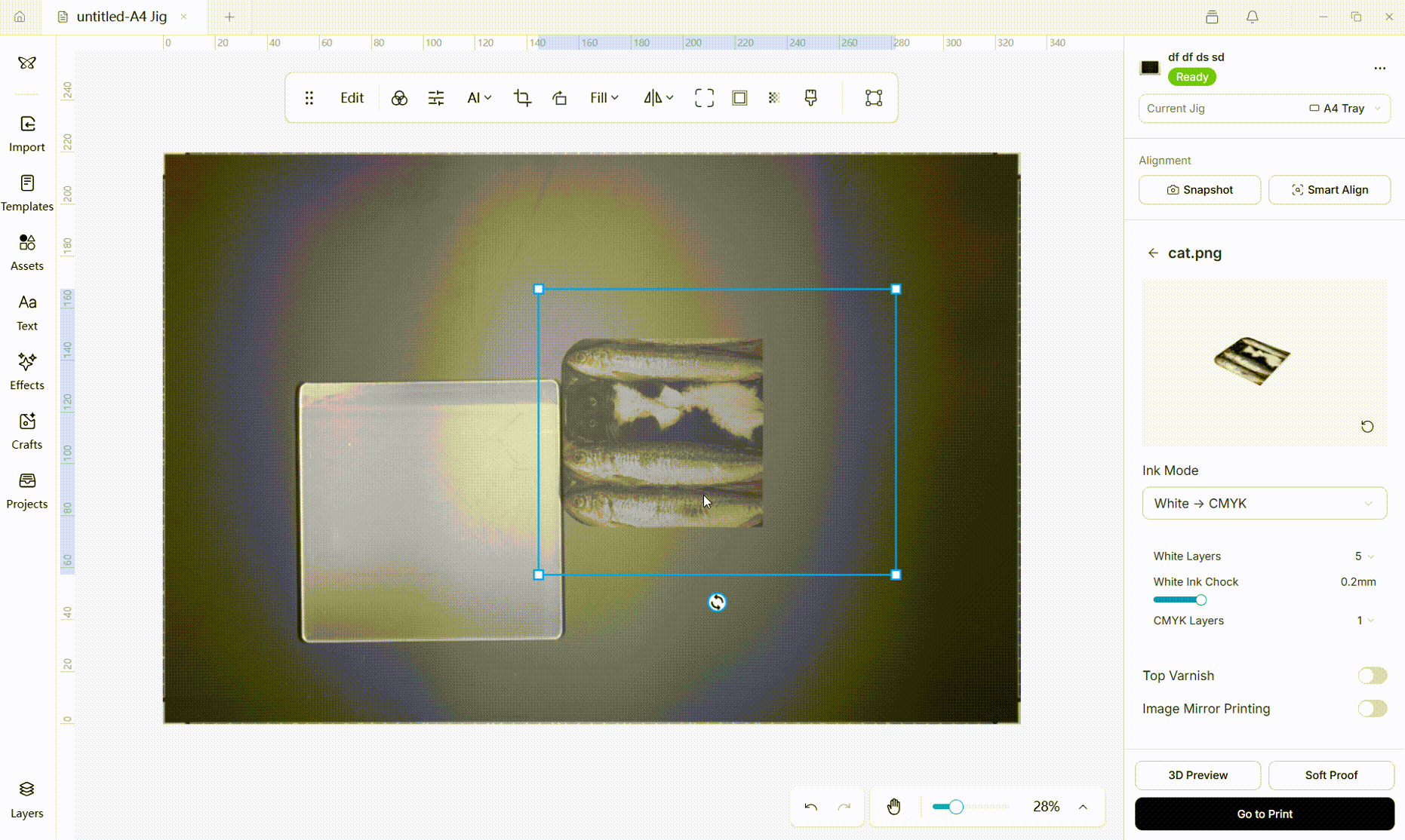 Color image aligned on the print material before selecting Go to Print