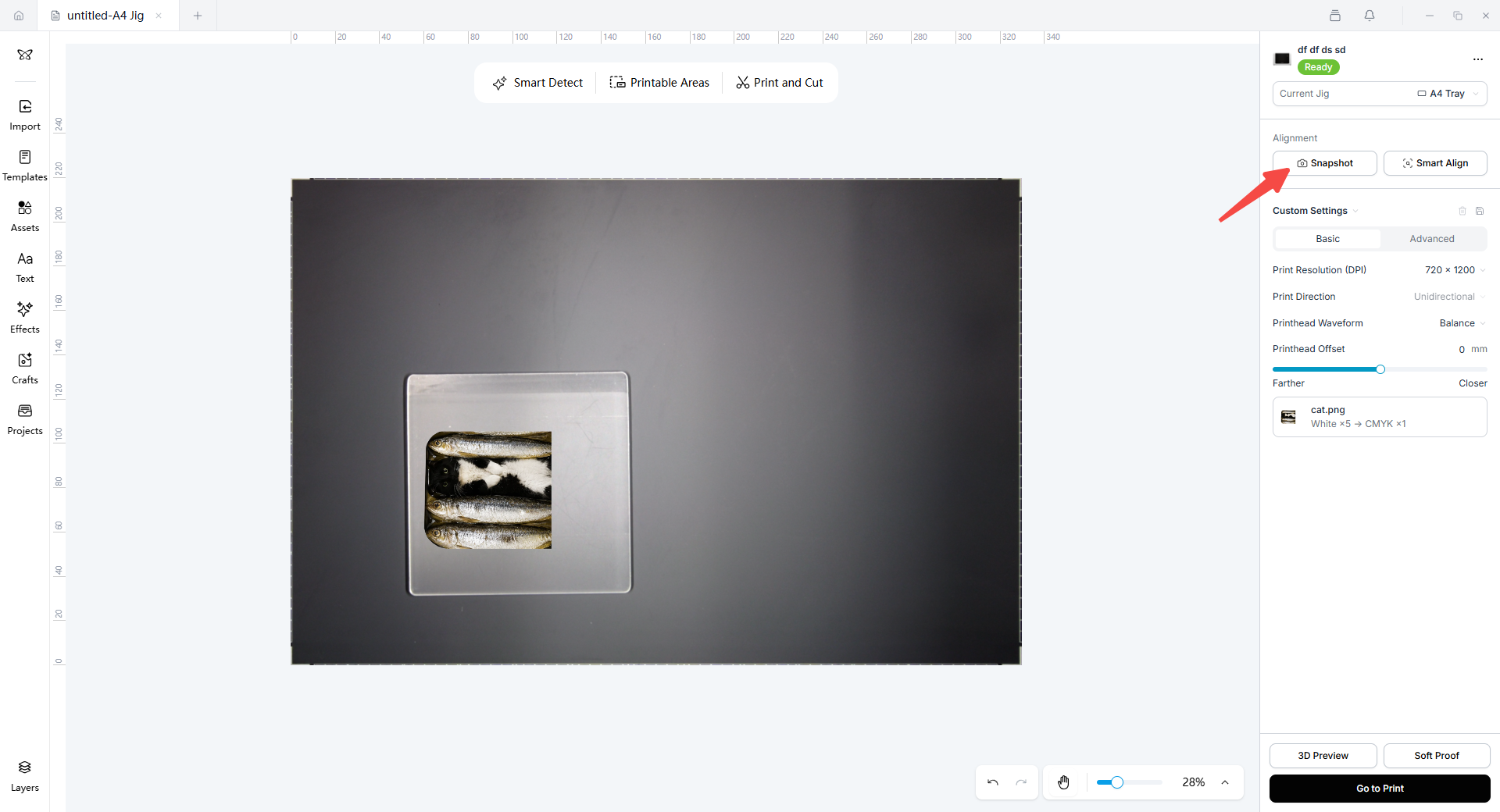 Snapshot button after printing the color image