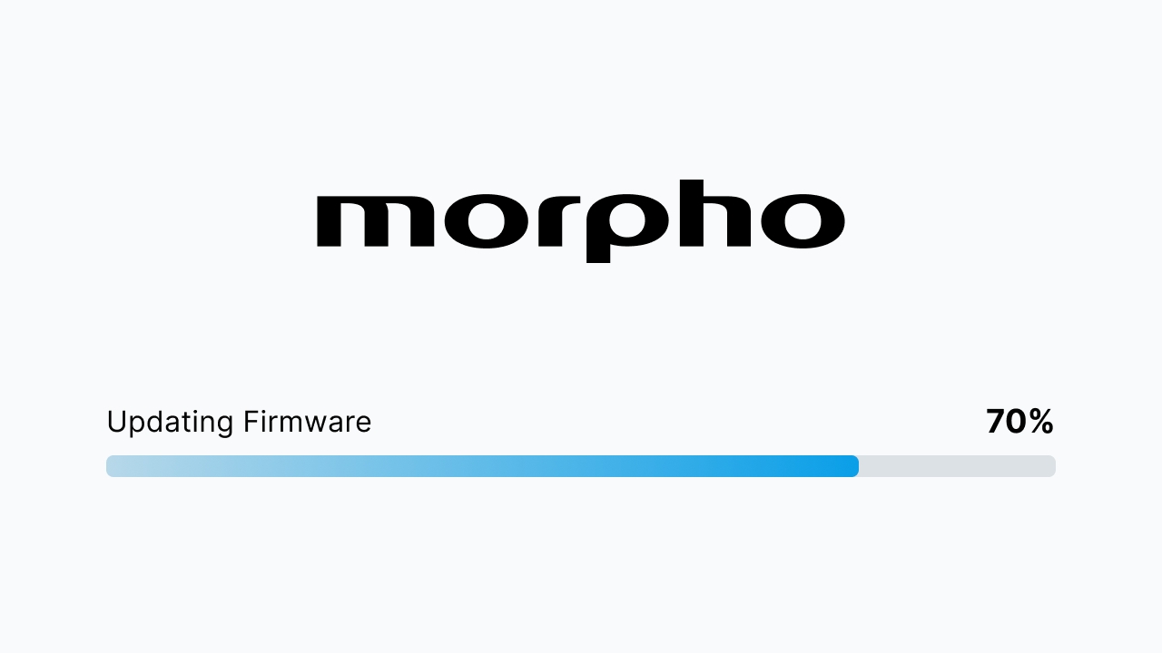 Firmware update in progress